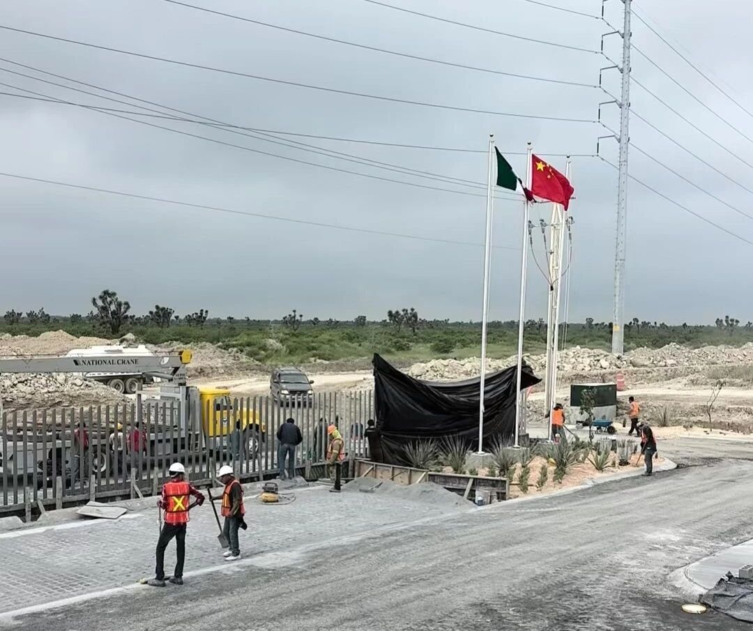 1770183503866034.jpg 1.jpg